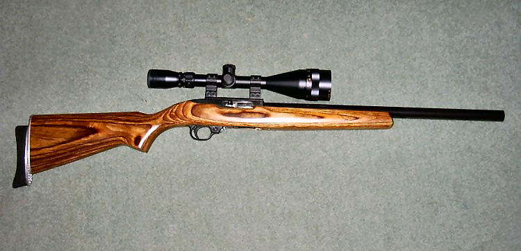 Ruger 10-22, target model